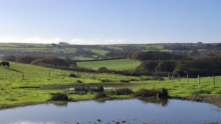 Pond full of water set amidst farmland.